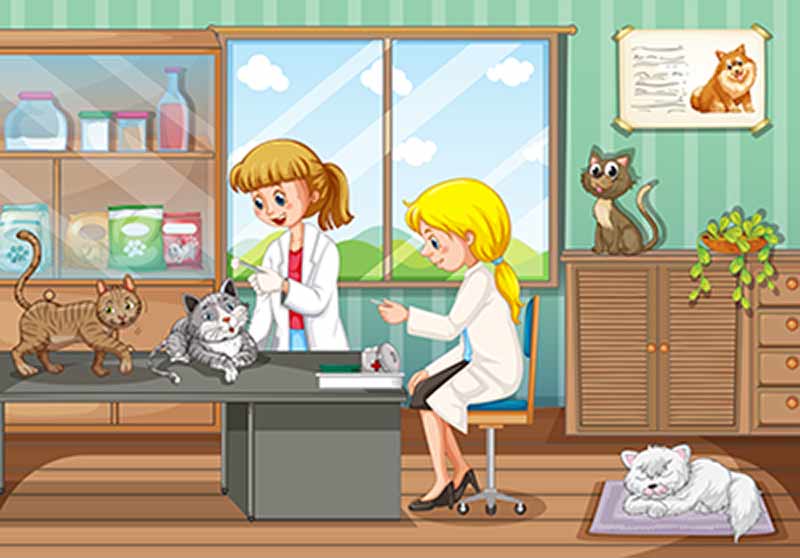 animal hospital cleaning