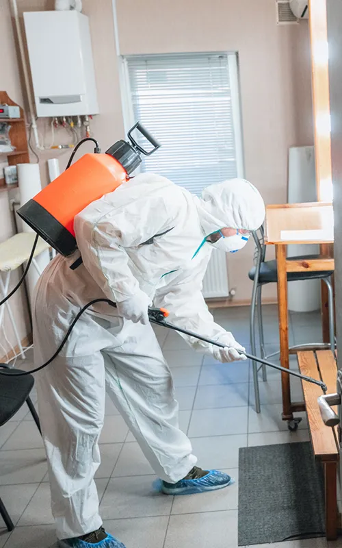 Disinfection Services Cost Baltimore, MD